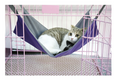 Cat Hammock - Cozy Window Perch for Cats