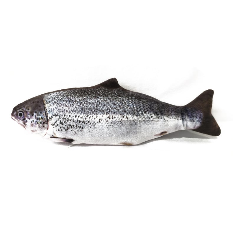 Beating Fish Catnip Toy - Interactive Moving Toy for Cats